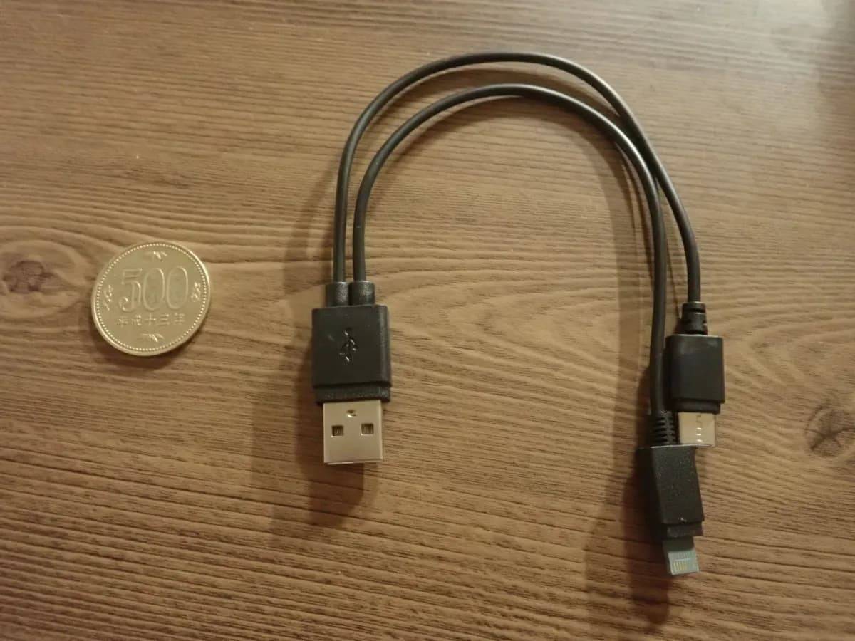 ダイソー充電ケーブル(USB→ライトニング端子＆Type-C、2.1)−２