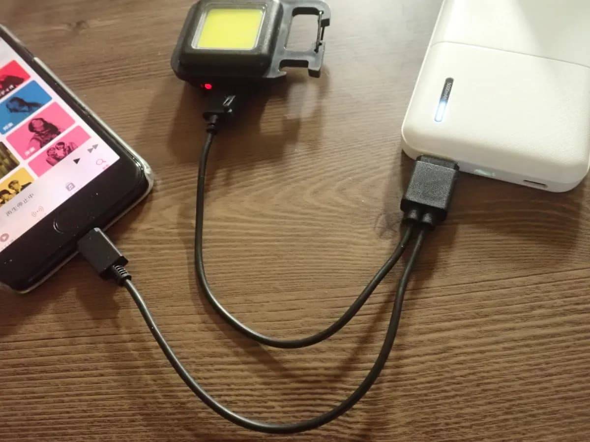 ダイソー充電ケーブル(USB→ライトニング端子＆Type-C、2.1)−３