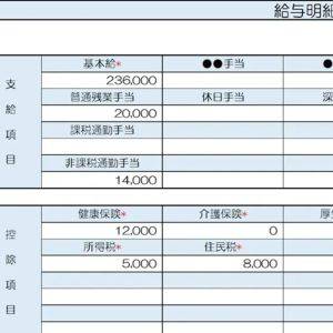 【リアル給与明細】31歳、執筆業。少しも贅沢できない……。お金の使い方に悩んでいます【FPが解説】