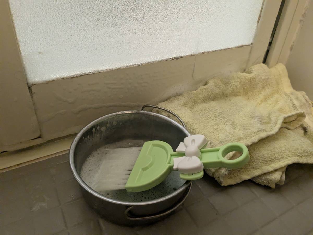 お風呂のドアをピカピカにするお掃除方法【簡単に丸洗いできます！】