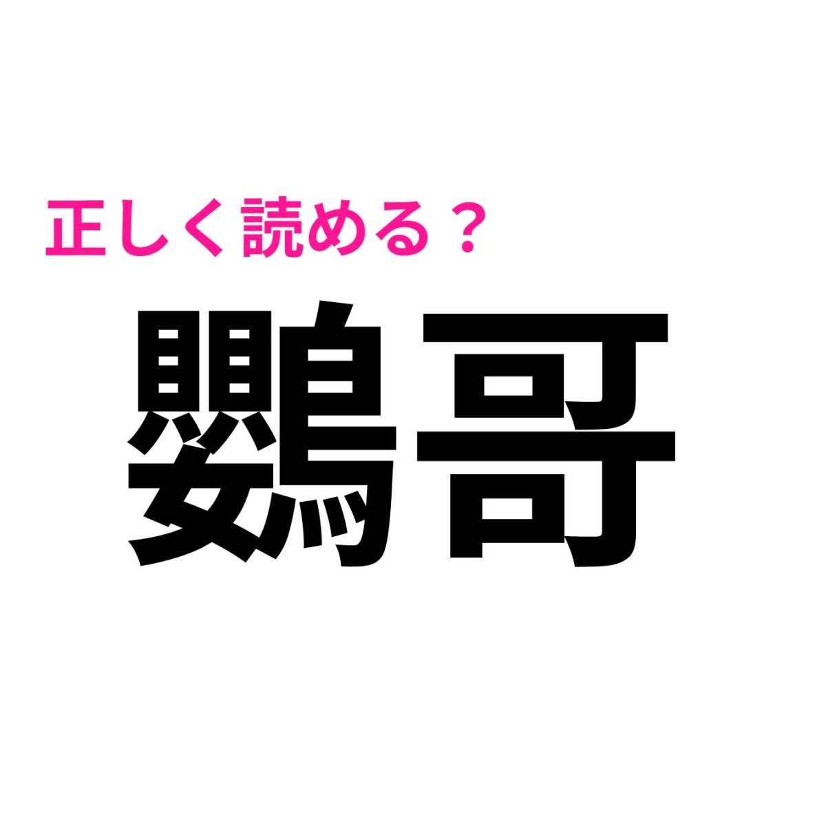 鸚哥
