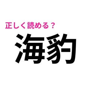  海豹 