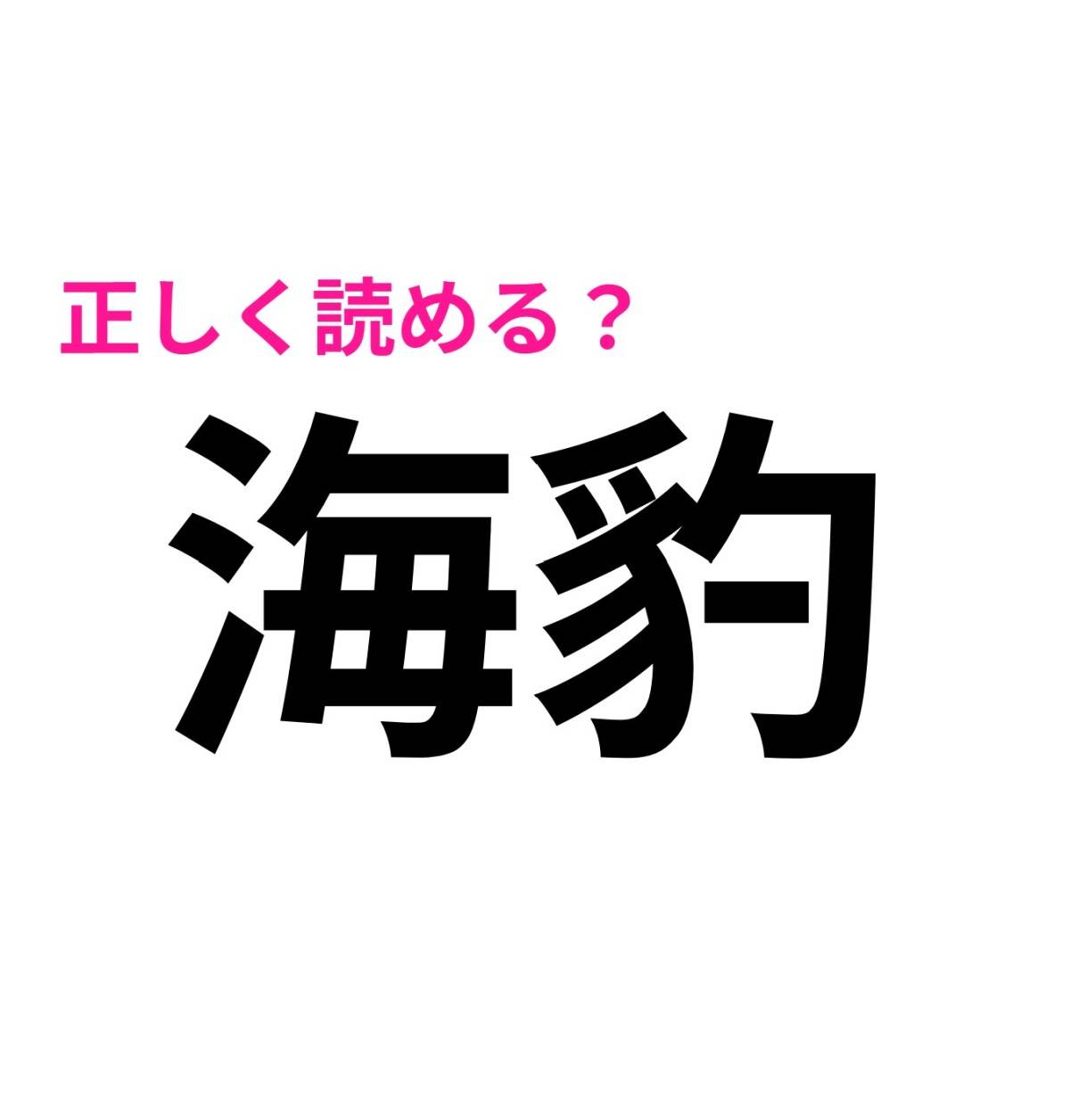 海豹