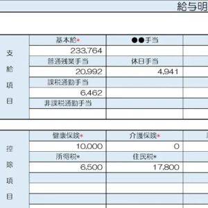 【リアル給与明細】31歳、小売業。同居の母の老後が心配……。どう備えたらいいですか？【FPが解説】