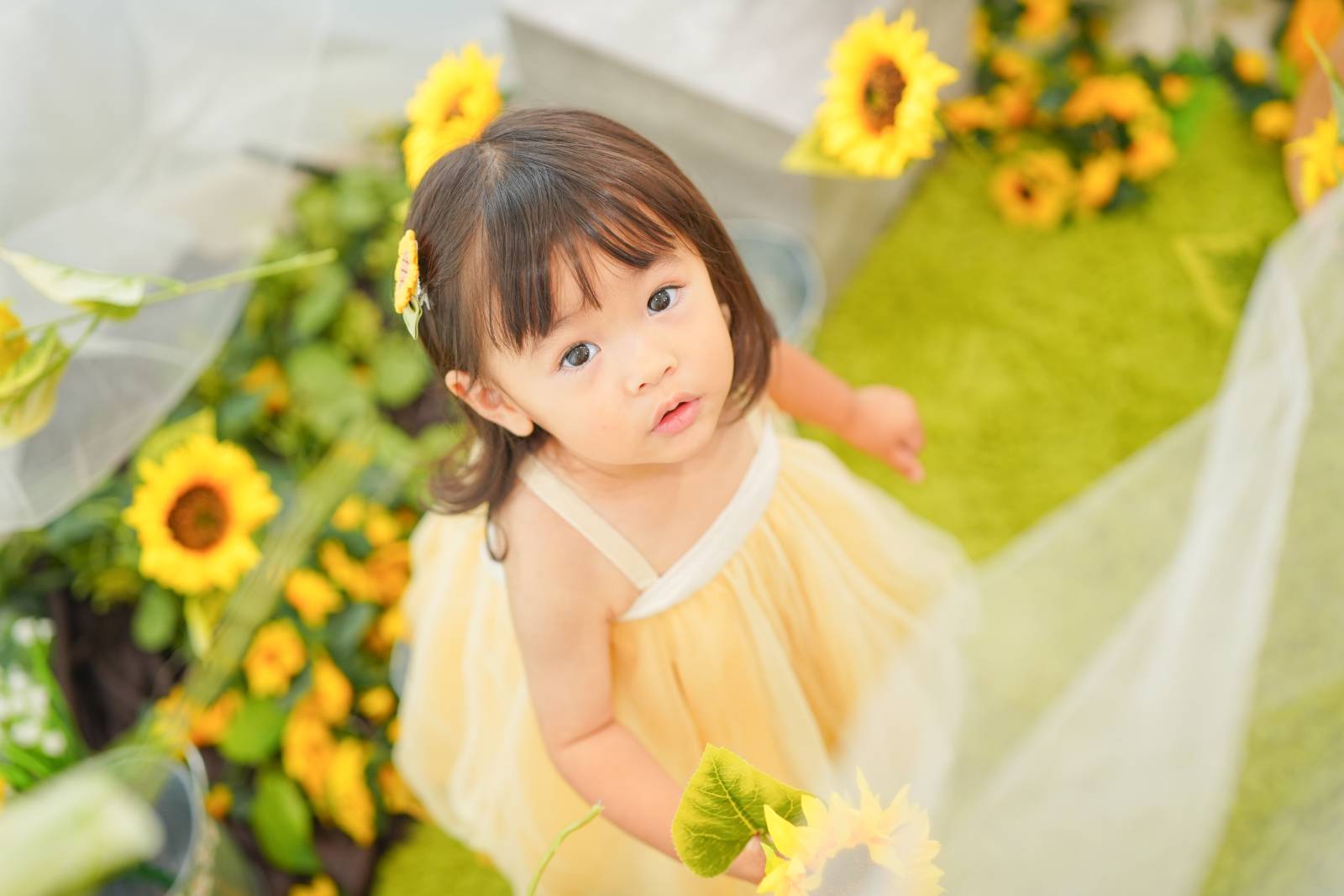 dafune.photo