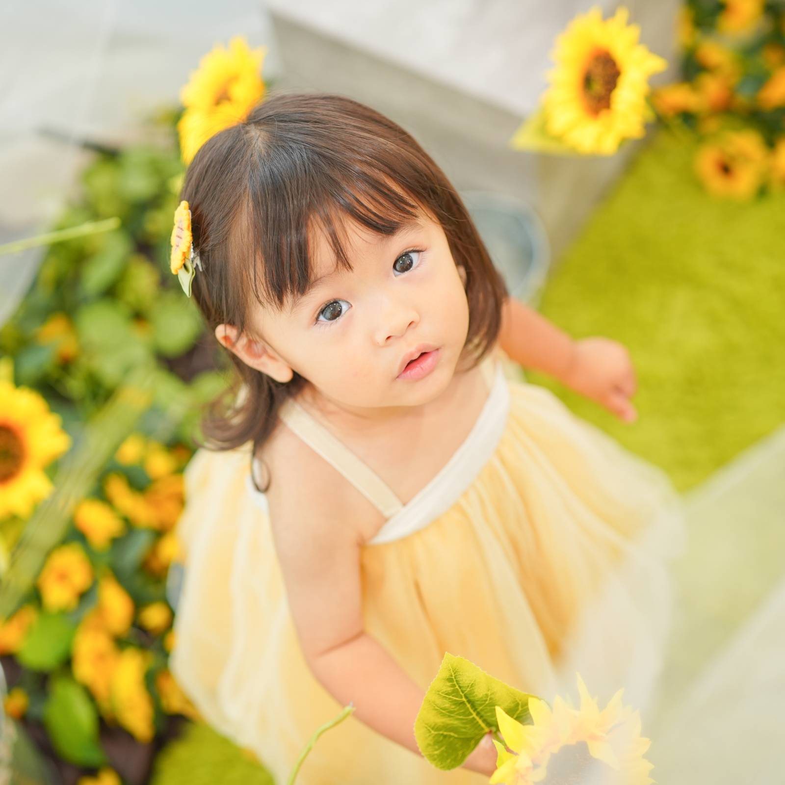 daFune.photo