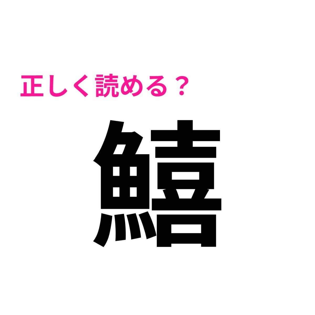 鱚