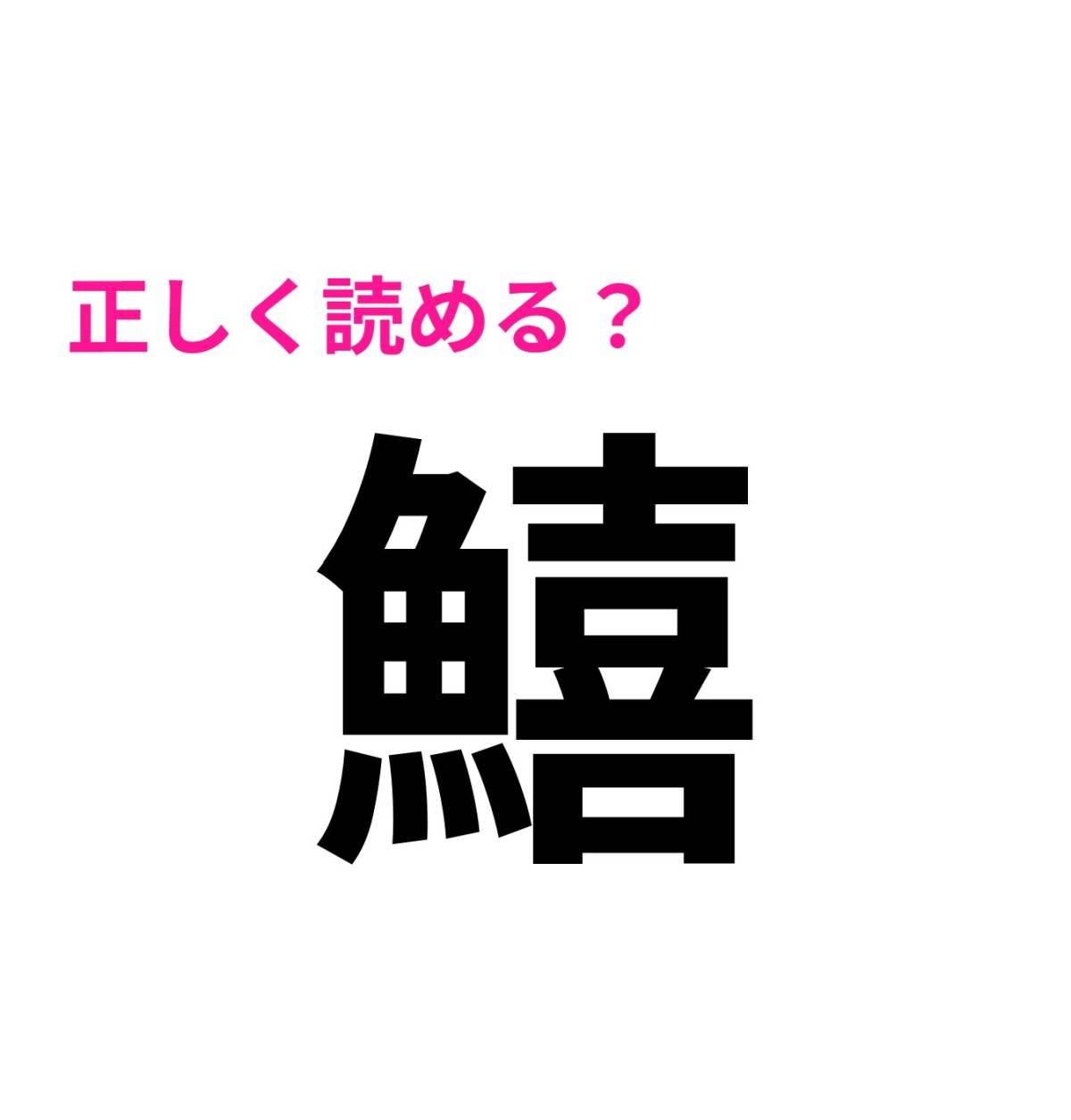 鱚