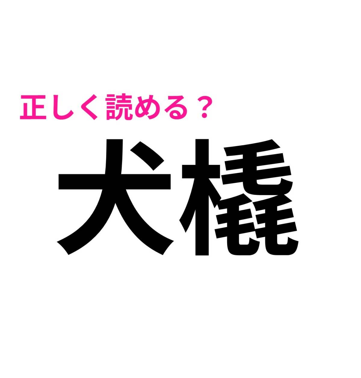 犬橇