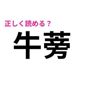本当に賢い人なら、全問正解いけるらしい……。考えてもお手上げな難しい漢字7選