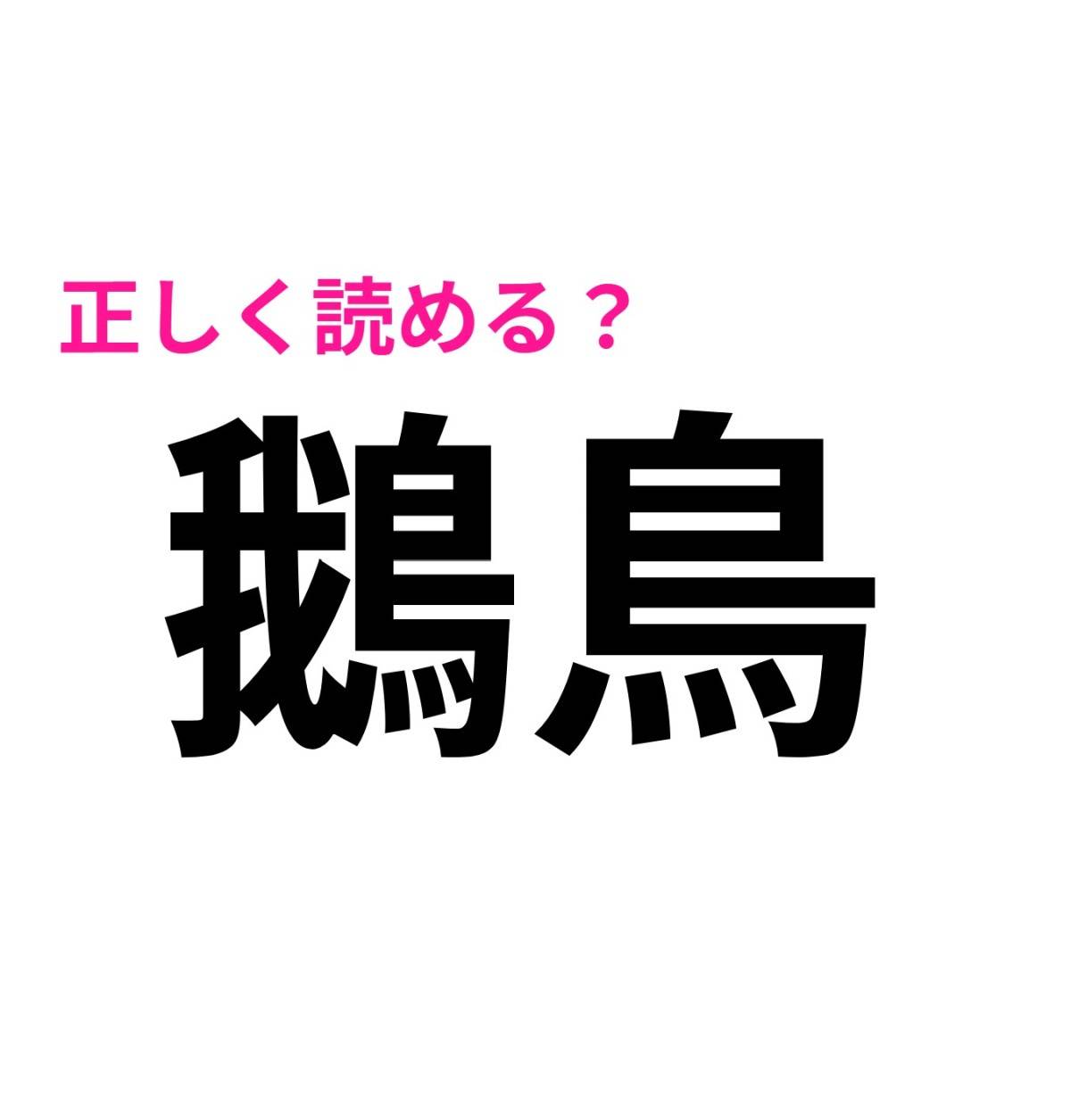 鵝鳥