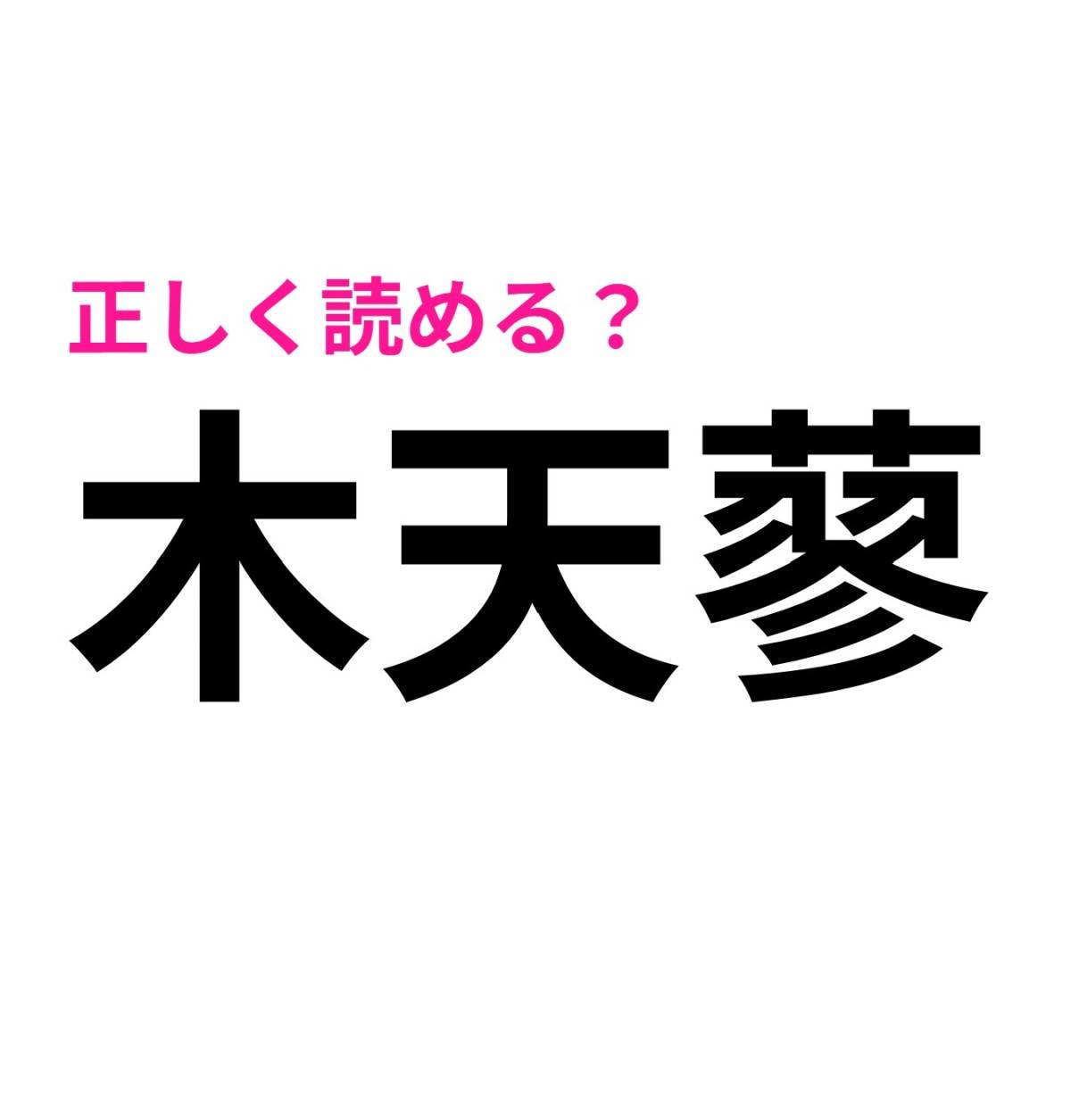木天蓼