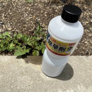たった100円で手間軽減？！【ダイソー】の「お酢の除草剤」を試してみた