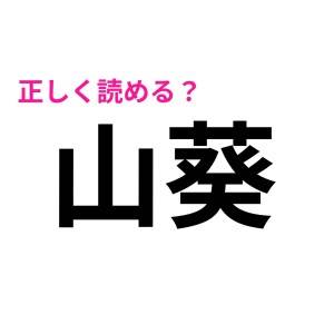 ガチ勢ならノーヒントで読めるってマジか……。とんでもなく正答率が低い漢字9選