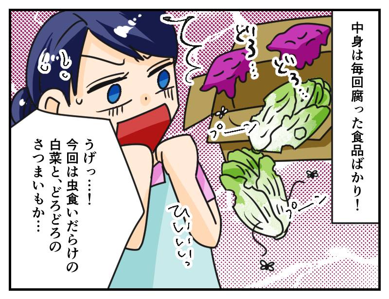 義母の贈り物-2