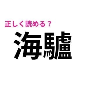  海驢 