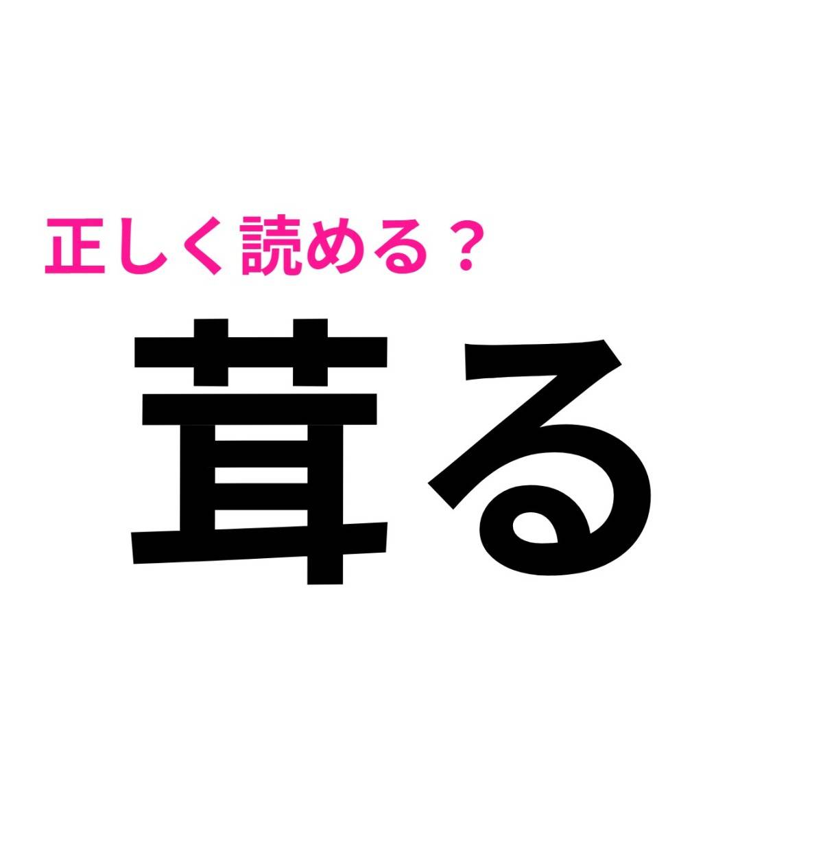 茸る