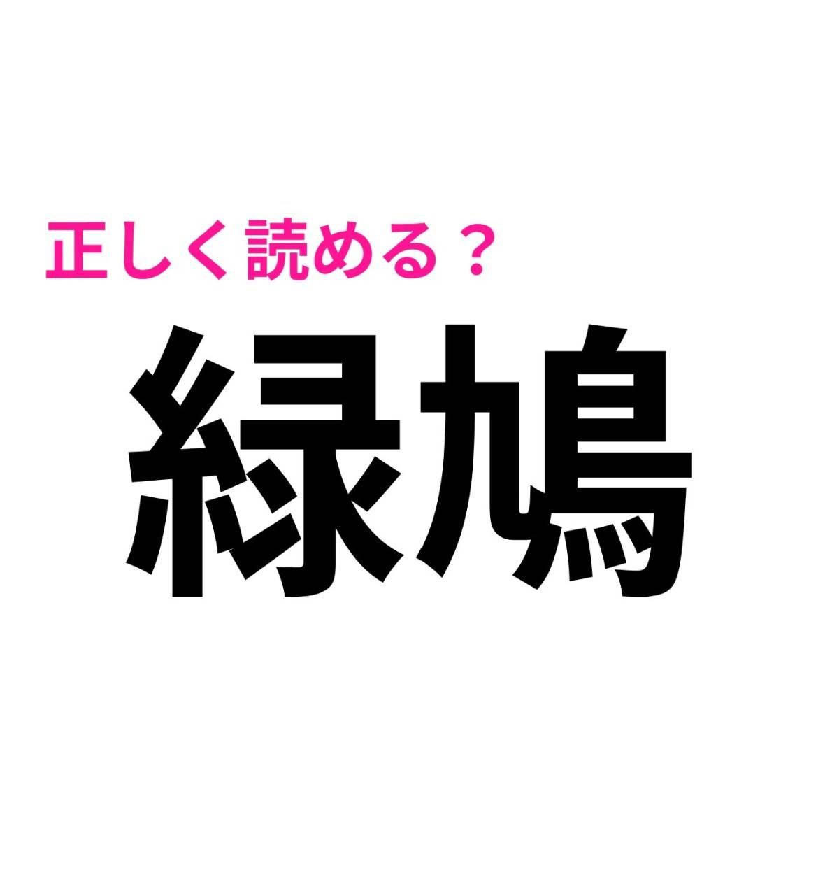 緑鳩