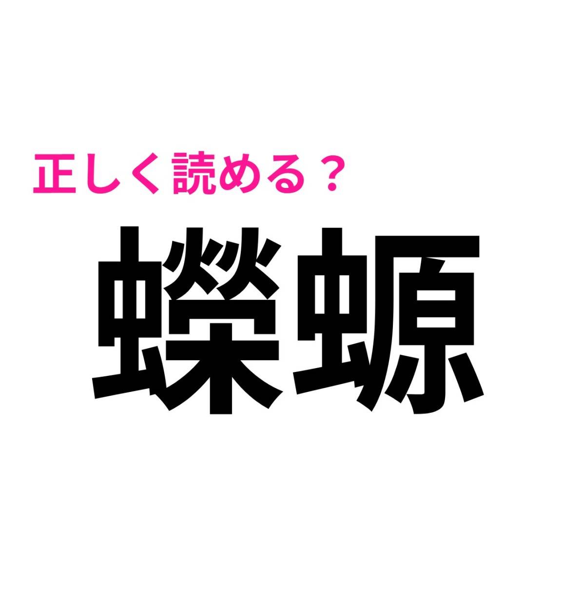蠑螈