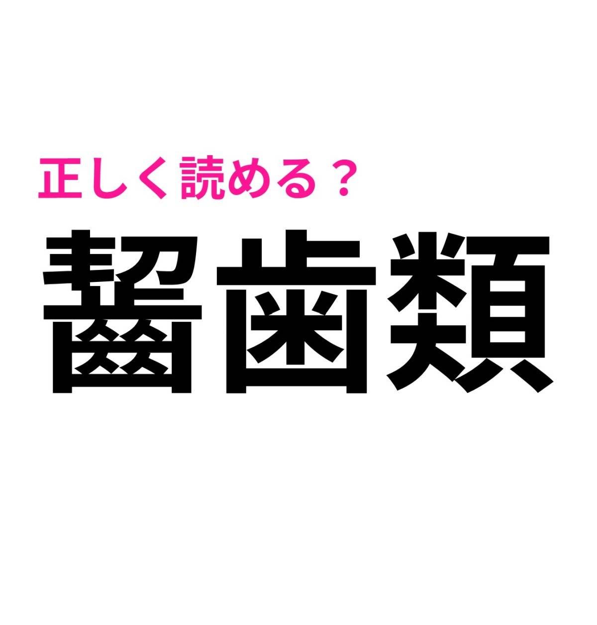 齧歯類