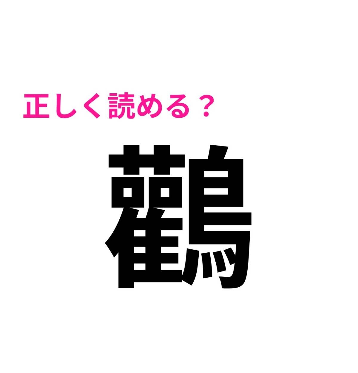 鸛