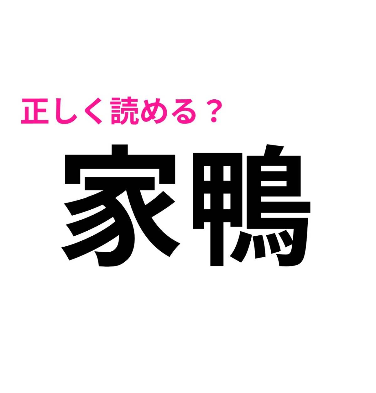 家鴨