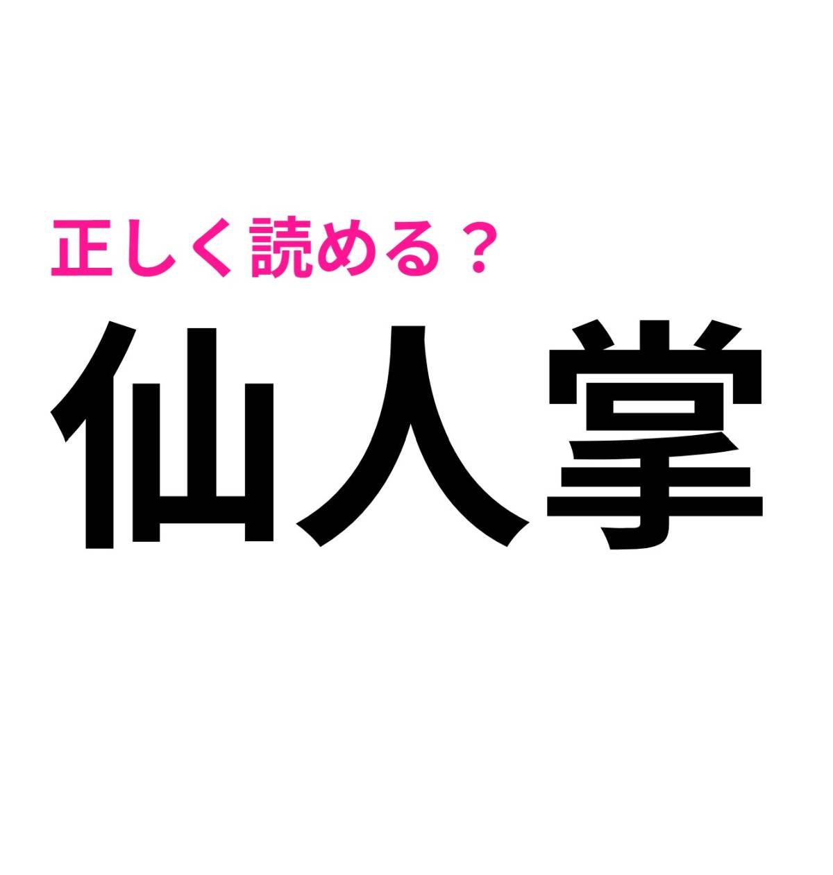 仙人掌