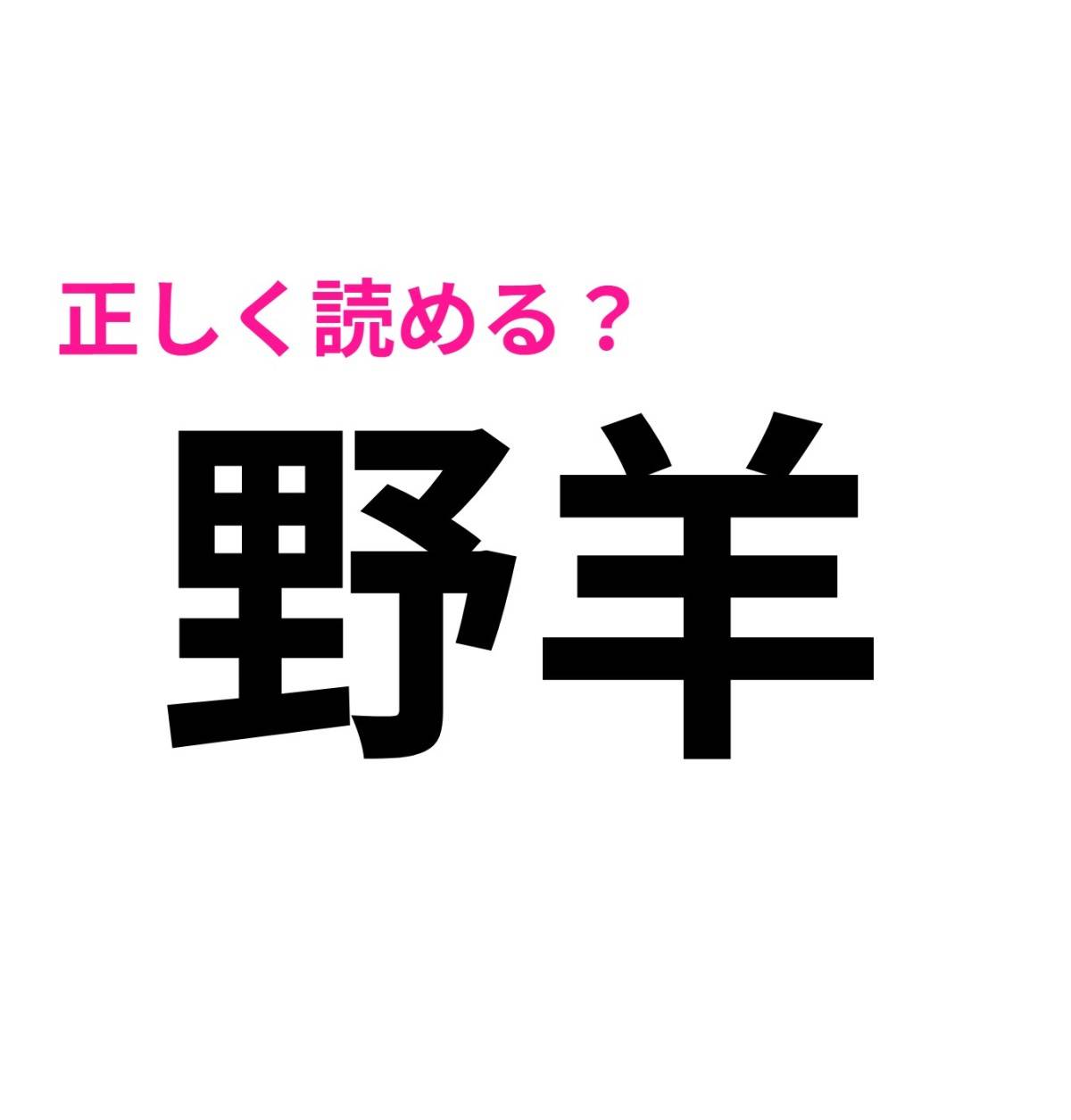 野羊