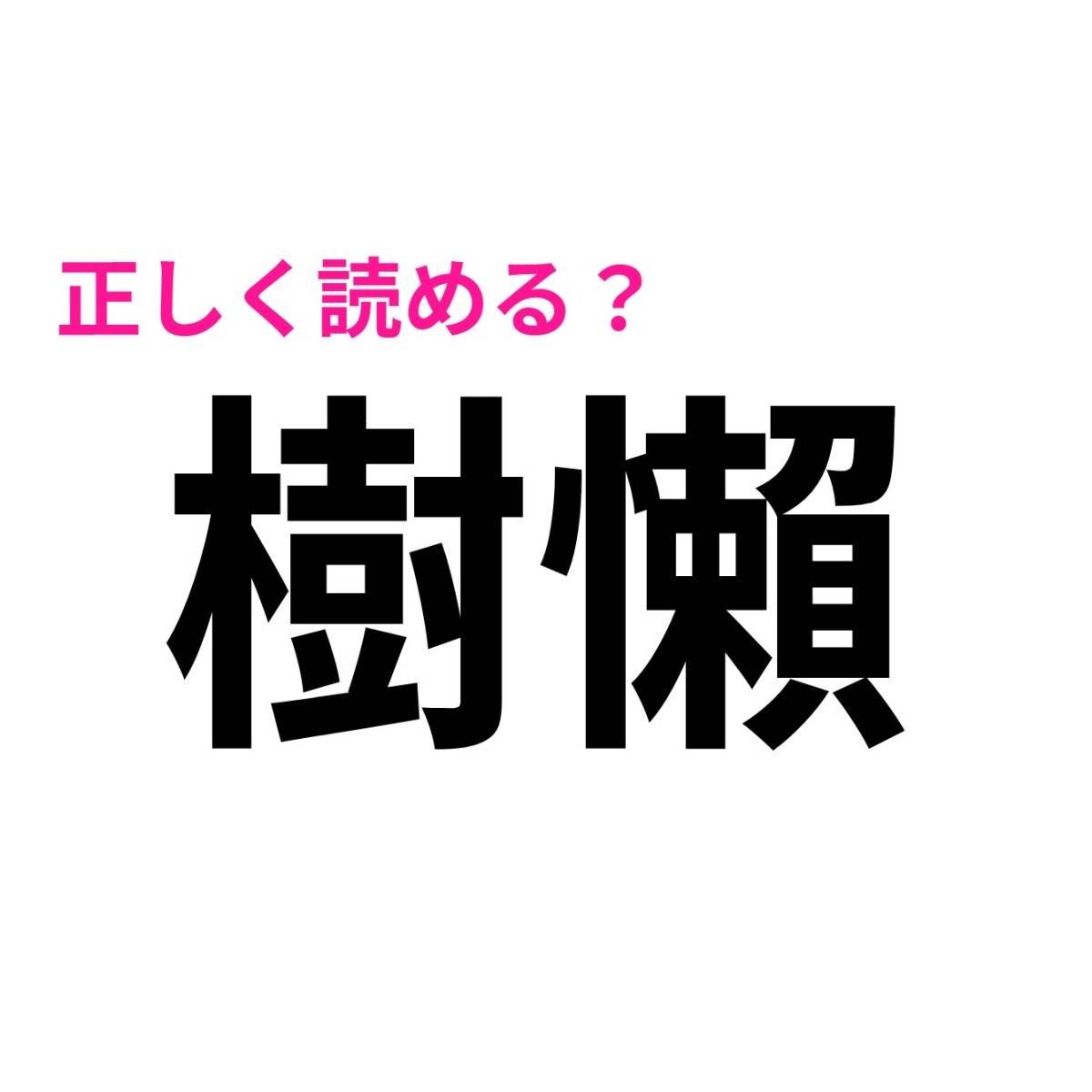 樹懶