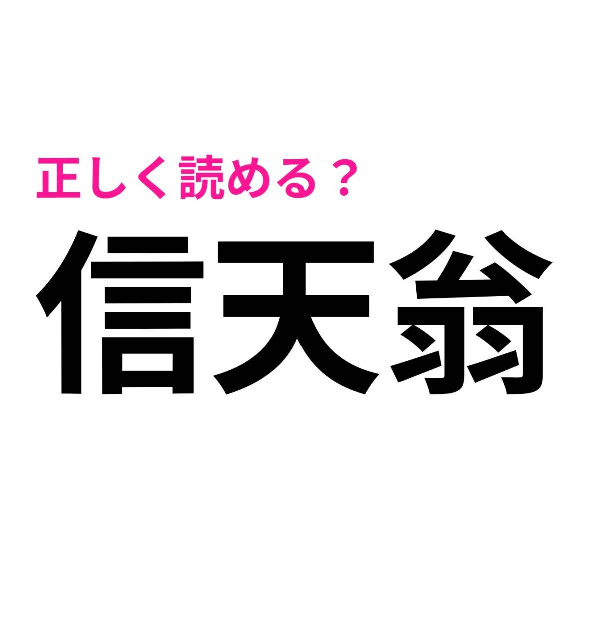 信天翁