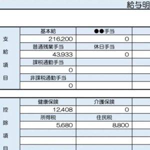 【リアル給与明細】30歳、技術職。転職したら収入減……。子どものために貯金したいです【FPが解説】