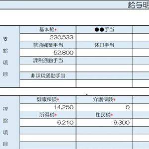 【リアル給与明細】デザイナーの女性。住宅購入と子育てに備えたい。ポイ活でお金は貯まる？【FPが解説】