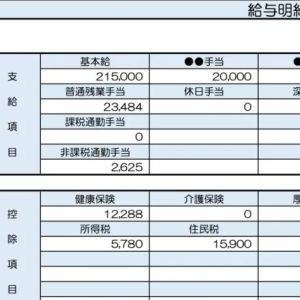 【リアル給与明細】30歳、児童指導員。貯金ができない……。削りやすい支出は何ですか？【FPが解説】