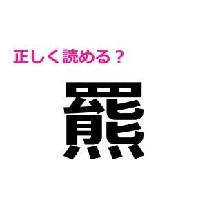  羆 