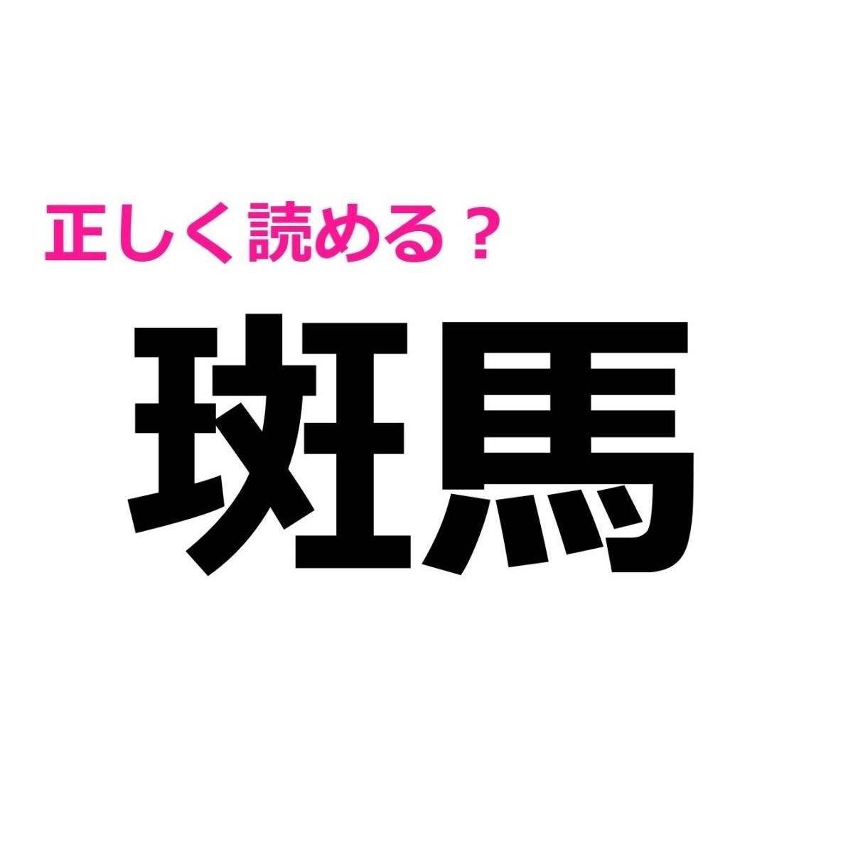 斑馬