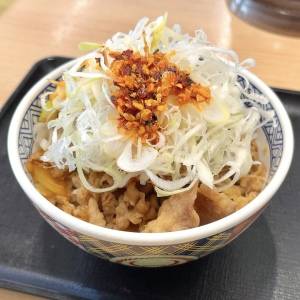 もはやコレばっかり食べてる。【吉野家】の大人気メニューが最高に旨い