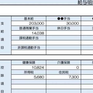 【リアル給与明細】33歳、造園業。お金が貯まらない……。何に使いすぎているのか不明です【FPが解説】
