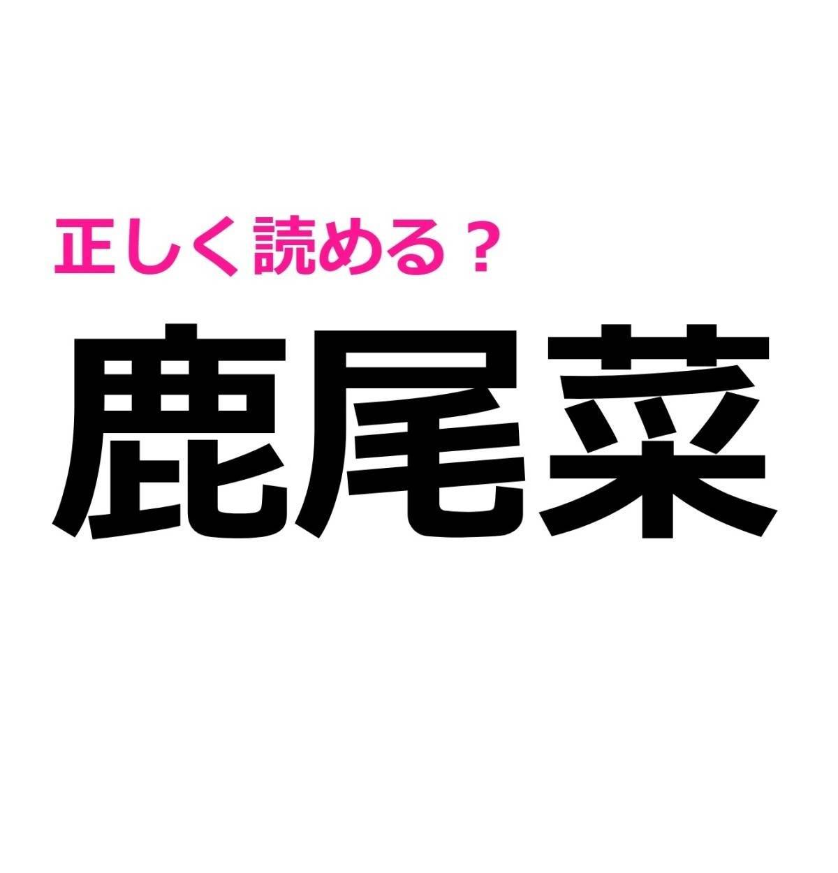 鹿尾菜