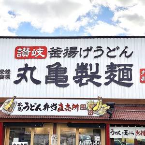 コレは食べなきゃ損。【丸亀製麺】今本気で食べるべき大人気うどん5選