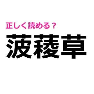 コレ全部読める人、頭よすぎるって……。正答率がめちゃくちゃ低い漢字9選