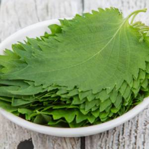 まさかの毎日食べてます……。旦那が大絶賛した「大葉」の簡単レシピ