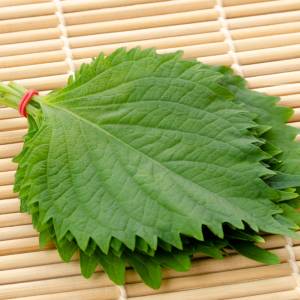 最近コレばっかり食べてる。切って混ぜるだけの「大葉」の簡単レシピ