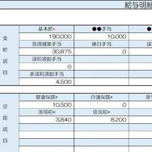 【リアル給与明細】30歳、営業職。低すぎて手元に残らない……。将来のために何をすべき？【FPが解説】