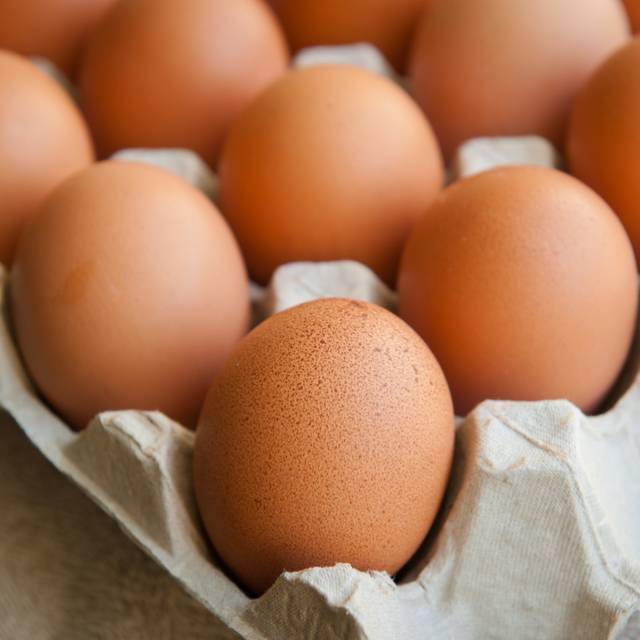 https://www.shutterstock.com/ja/image-photo/egg-chicken-255816604