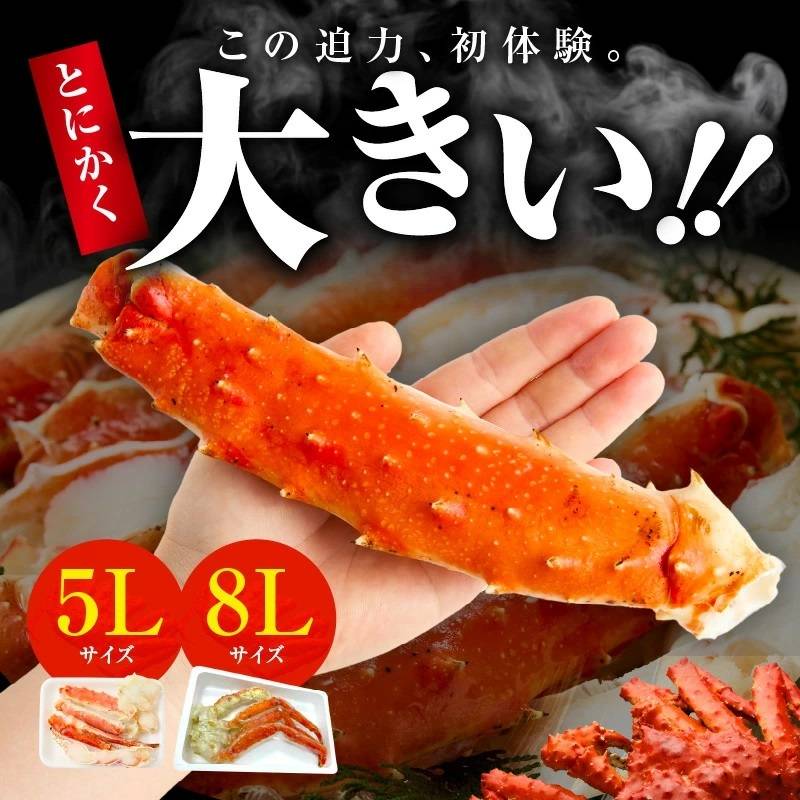 大阪府泉佐野市 特大タラバガニ