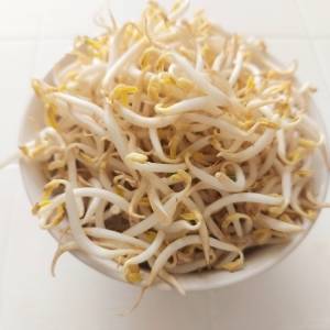 久々の大当たりだわ……。茹でて混ぜるだけの「もやし」の簡単レシピ