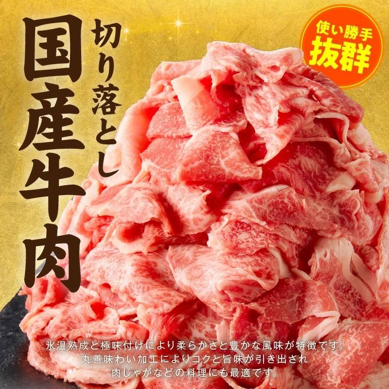 大阪府泉佐野市 国産牛肉切り落とし