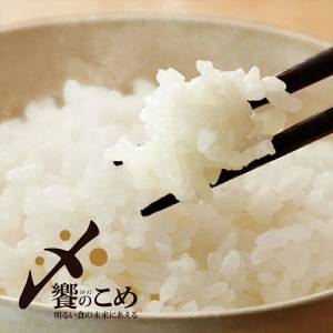  石川県宝達志水町 能登米 石川米 こしひかり 
