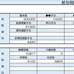 【リアル給与明細】30歳、販売企画。生活費で消える……。固定費を見直すべきですか？【FPが解説】