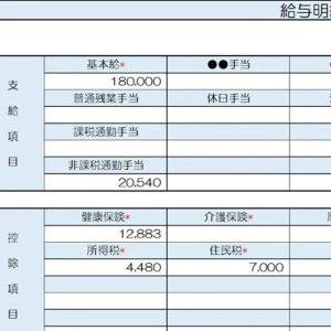 【リアル給与明細】32歳、営業職。収入を増やしたい……。おすすめの副業を教えてください【FPが解説】